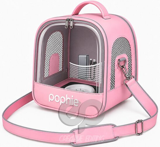 pophie_offboard_carrybag_close.jpg
