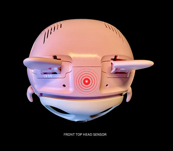 5.) FRONT TOP HEAD SENSOR