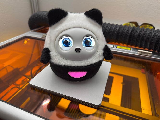 IMG_6452