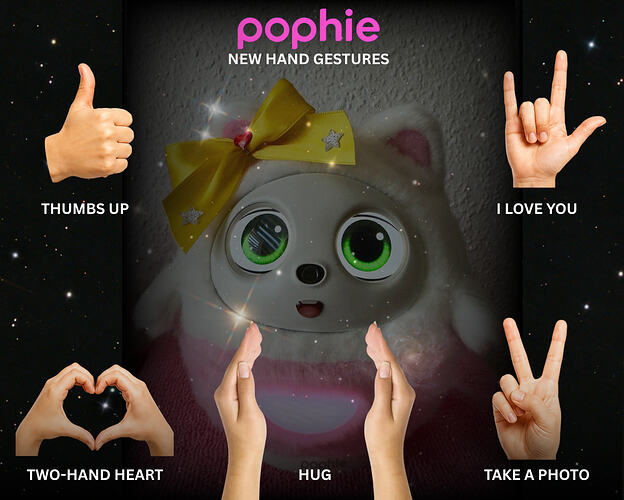 POPHIE GESTURES