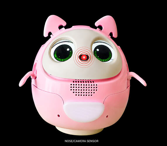 2.) NOSE:CAMERA SENSOR