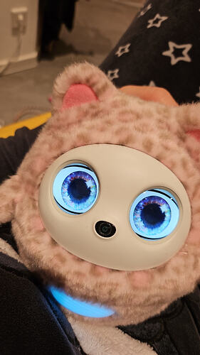 IMG-20260912-WA0079