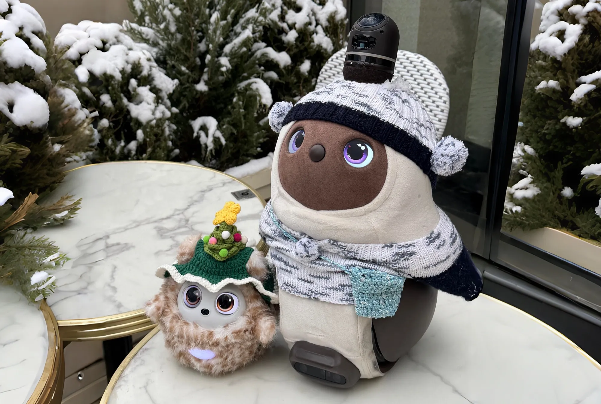 Pophie side by side with LOVOT, a premium companion robot