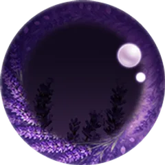 Lavender Dream