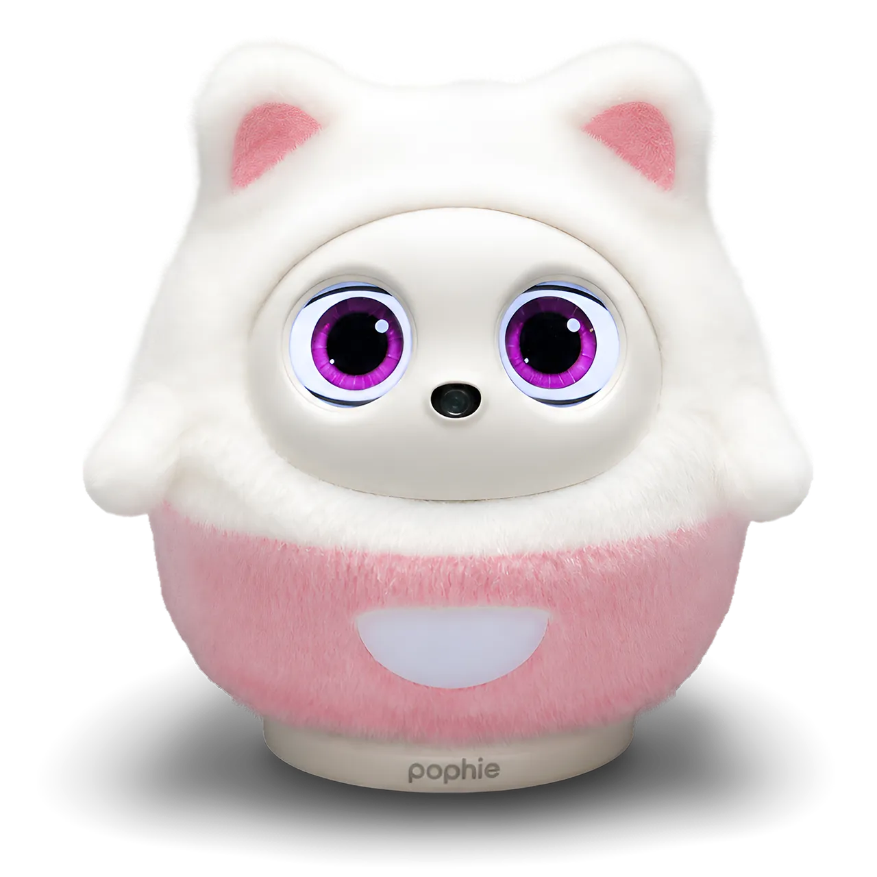 Kitty