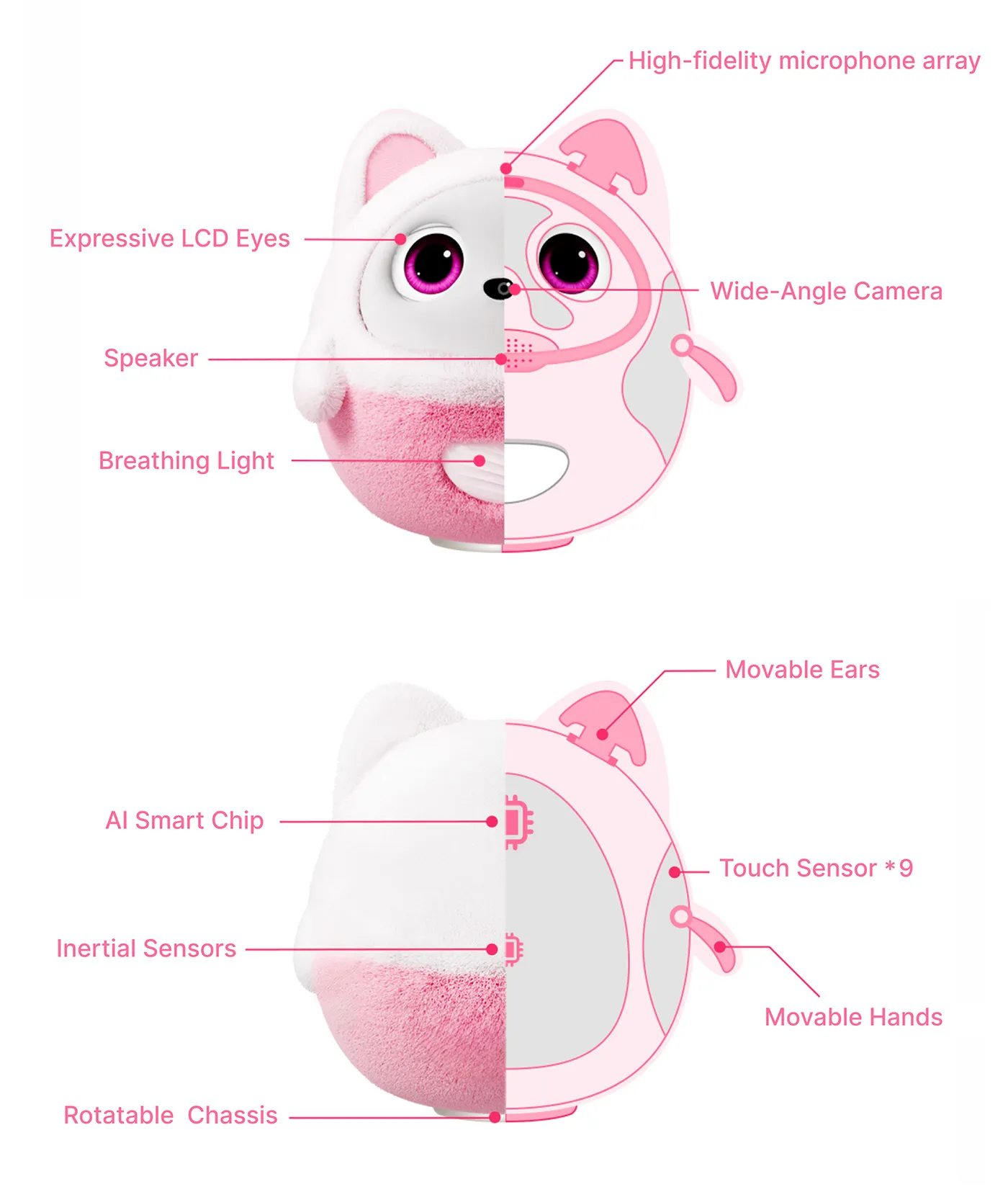 Pophie Technical Structure