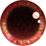 チューリップワルツ