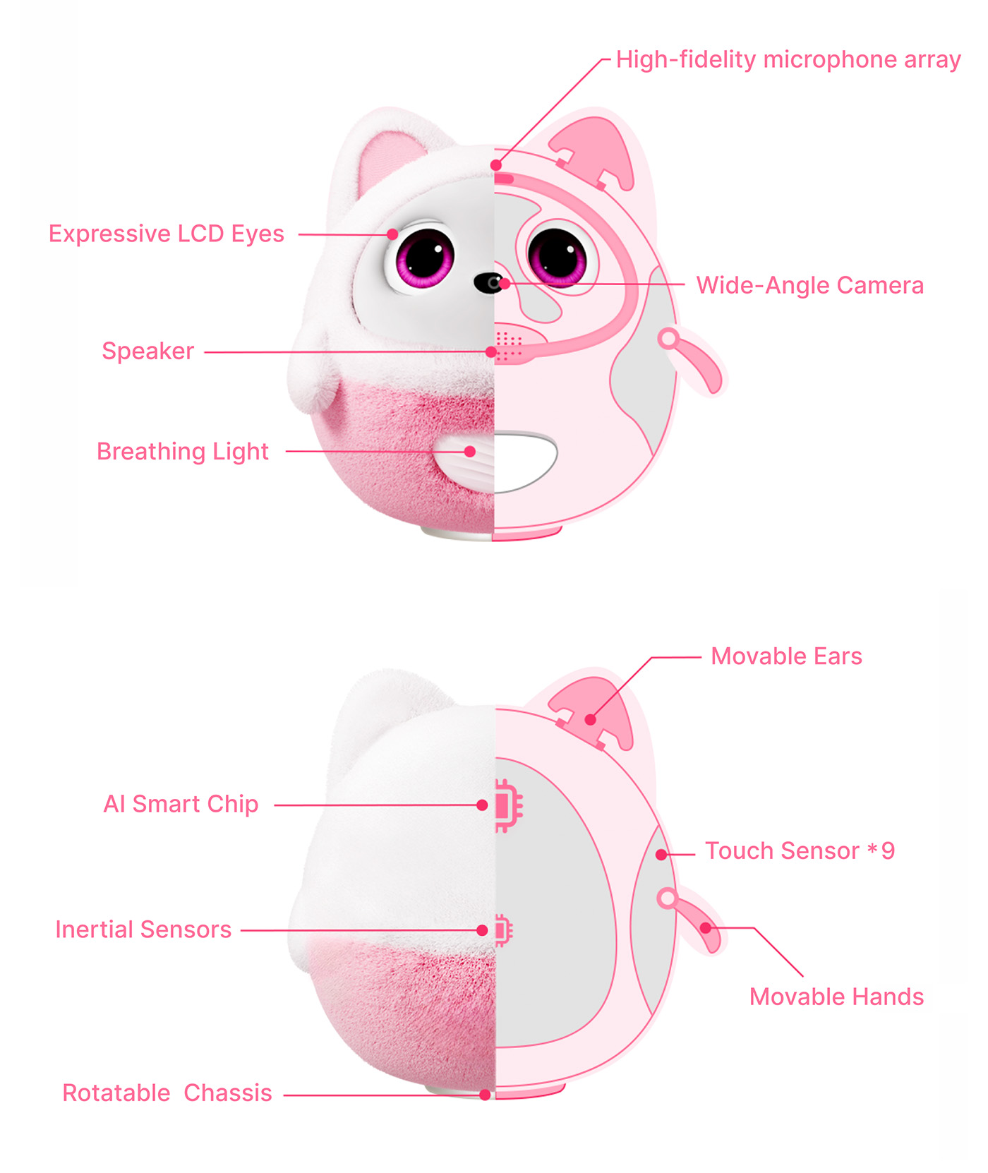Pophie Technical Structure