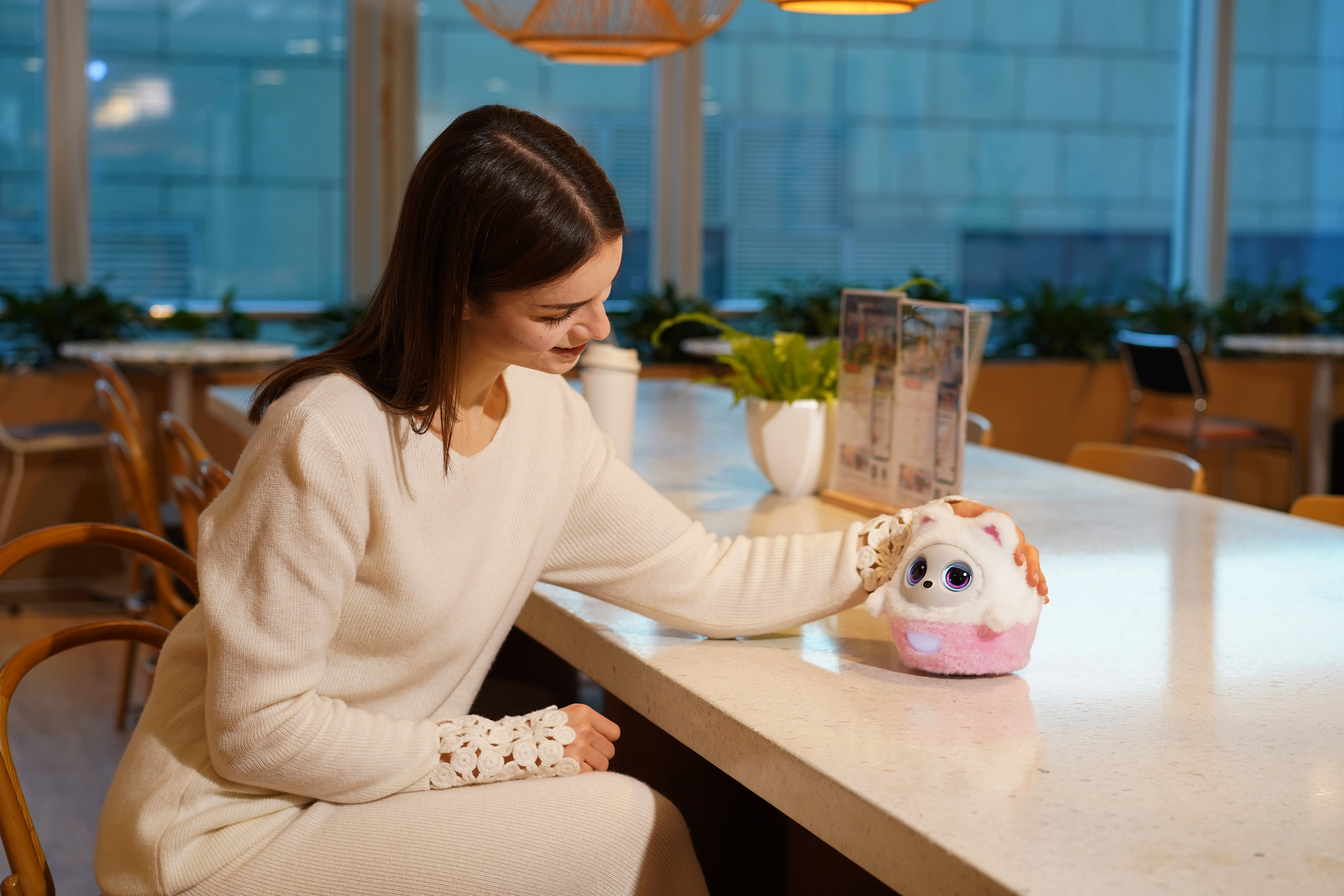Pophie sitting on an office desk